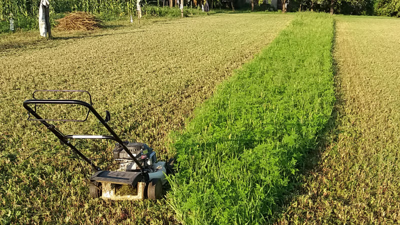 Nagyobb gyepterületek karbantartása