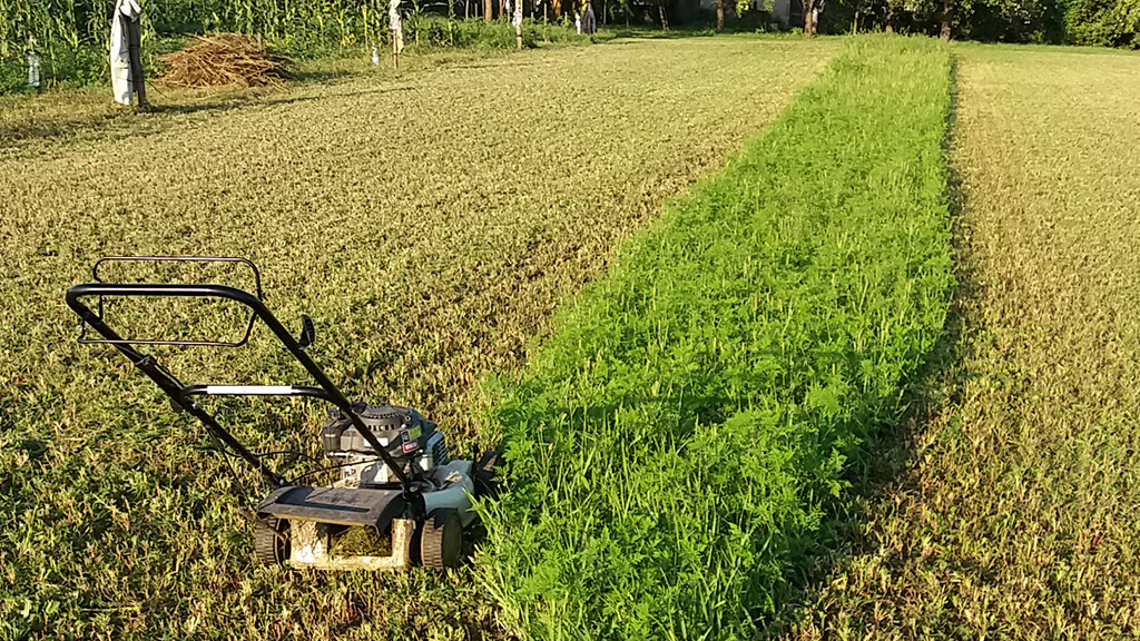 Nagyobb gyepterületek karbantartása
