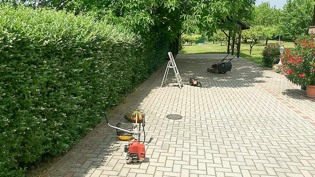 Sövényvágás, metszés