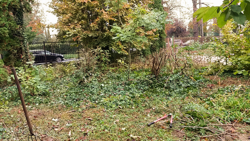 Sövényvágás, kertkarbantartás