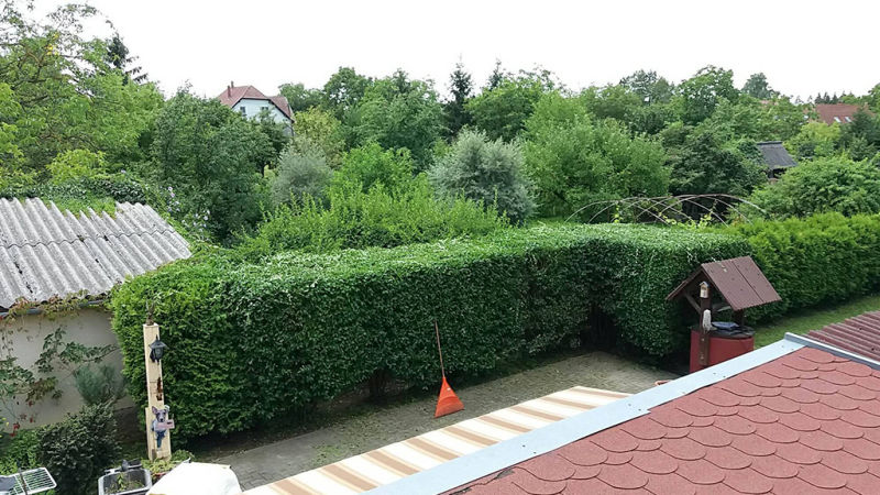 Sövényvágás, kert fenntartás