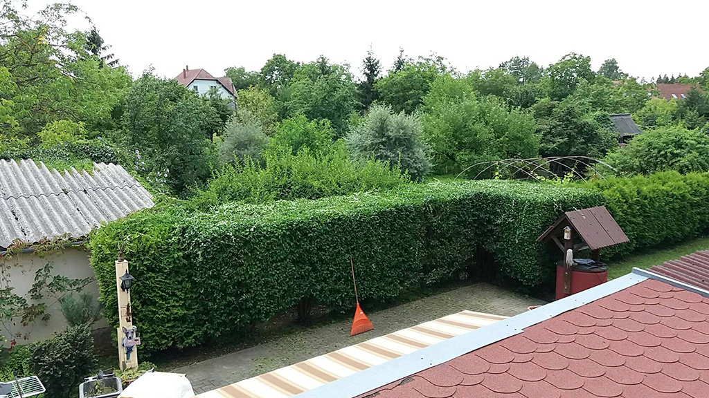 Sövényvágás, kert fenntartás