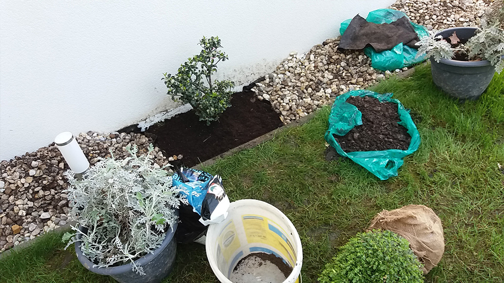 Palánták és cserjék ültteése