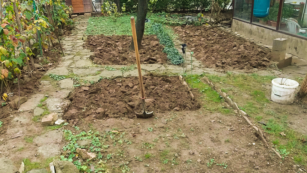 Veteményes kertek felásása, kartbantartása