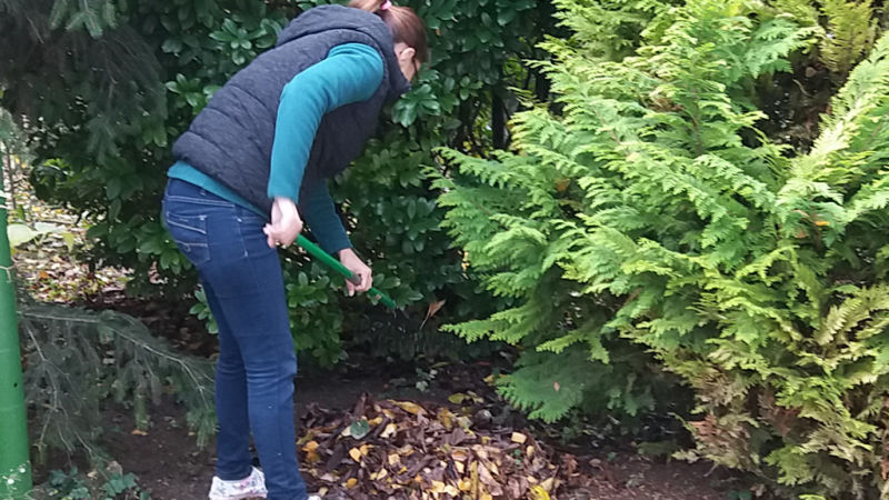 Lombsöprés, komposztálás